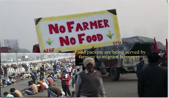 Farmers serving food