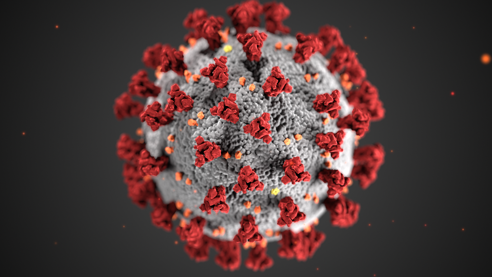 covid virus